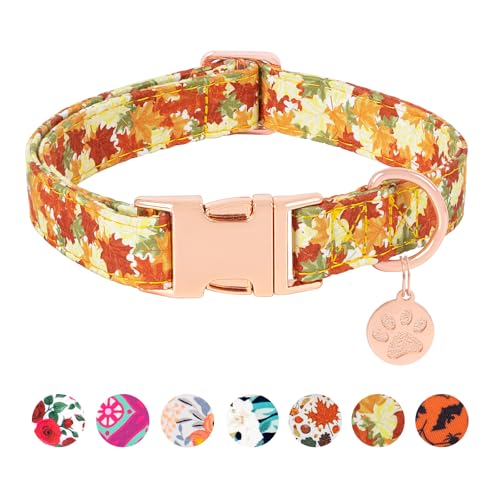 HSIGIO Hundehalsband aus weicher Baumwolle, verstellbares Hundehalsband mit Metallschnalle, gelbes Ahornblatt mit Anhänger, für Mädchen, Jungen, Hundehalsbänder, Geschenk für kleine, mittelgroße und HSIGIO Hundehalsband aus weicher Baumwolle, verstellbares Hundehalsband mit Metallschnalle, gelbes Ahornblatt mit Anhänger, für Mädchen, Jungen, Hundehalsbänder, Geschenk für kleine, mittelgroße und von HSIGIO