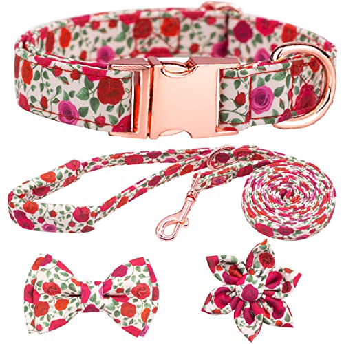 HSIGIO Hundehalsband und Leine, Set, Mädchen, verstellbare Welpenhalsbänder mit Blumen-Fliege für kleine, mittelgroße und große Hündinnen, rote Rose, S von HSIGIO