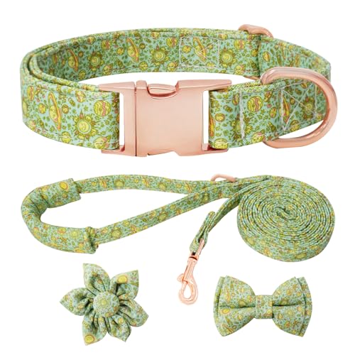 HSIGIO Hundehalsband und Leine, Set für Mädchen, verstellbare Welpenhalsbänder mit Planeten-Fliege für kleine, mittelgroße und große Hündinnen, grüner Planet, Größe L HSIGIO Hundehalsband und Leine, Set für Mädchen, verstellbare Welpenhalsbänder mit Planeten-Fliege für kleine, mittelgroße und große Hündinnen, grüner Planet, Größe L von HSIGIO