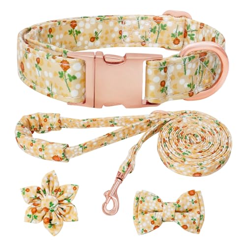 HSIGIO Hundehalsband und Leine, Set für Mädchen, verstellbare Welpenhalsbänder mit floraler Fliege für kleine, mittelgroße und große Hündinnen, Gelbblume, Größe M HSIGIO Hundehalsband und Leine, Set für Mädchen, verstellbare Welpenhalsbänder mit floraler Fliege für kleine, mittelgroße und große Hündinnen, Gelbblume, Größe M von HSIGIO
