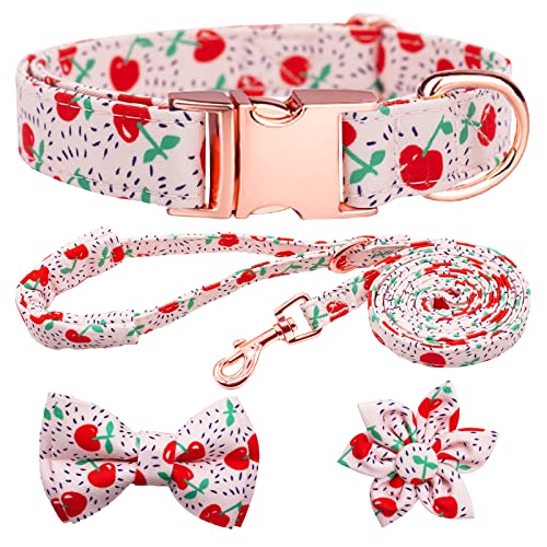 HSIGIO Hundehalsband und Leine, Set für Mädchen, verstellbare Welpenhalsbänder mit floraler Fliege für kleine, mittelgroße und große Hündinnen, Kirsche, L von HSIGIO