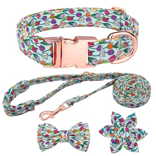 HSIGIO Hundehalsband und Leine, Set für Mädchen, verstellbare Welpenhalsbänder mit floraler Fliege für kleine, mittelgroße und große Hündinnen, Tulpe, S HSIGIO Hundehalsband und Leine, Set für Mädchen, verstellbare Welpenhalsbänder mit floraler Fliege für kleine, mittelgroße und große Hündinnen, Tulpe, S von HSIGIO