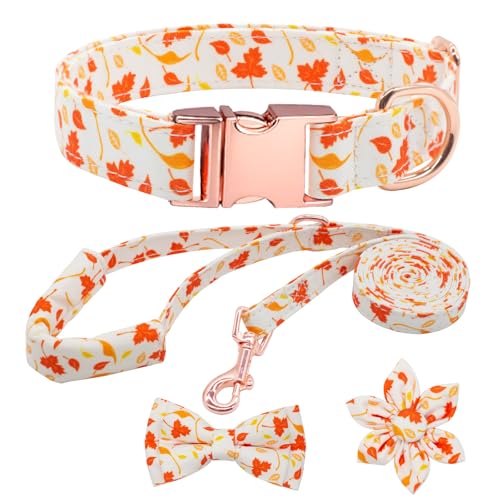 HSIGIO Hundehalsband und Leine, Set für Mädchen, verstellbare Welpenhalsbänder mit floraler Fliege für kleine, mittelgroße und große Hündinnen, orangefarbenes Ahornblatt, XS HSIGIO Hundehalsband und Leine, Set für Mädchen, verstellbare Welpenhalsbänder mit floraler Fliege für kleine, mittelgroße und große Hündinnen, orangefarbenes Ahornblatt, XS von HSIGIO