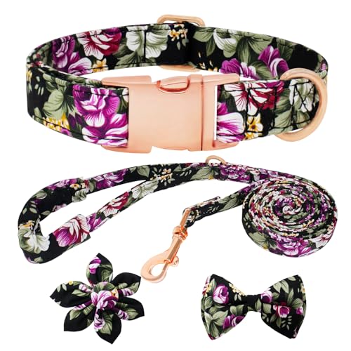 HSIGIO Hundehalsband und Leine, Set für Mädchen, verstellbare Welpenhalsbänder mit floraler Fliege für kleine, mittelgroße und große Hündinnen, schwarze Rose, XS HSIGIO Hundehalsband und Leine, Set für Mädchen, verstellbare Welpenhalsbänder mit floraler Fliege für kleine, mittelgroße und große Hündinnen, schwarze Rose, XS von HSIGIO