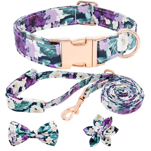 HSIGIO Hundehalsband und Leine, Set für Mädchen, verstellbare Welpenhalsbänder mit floraler Fliege für kleine, mittelgroße und große Hündinnen, violett-grüne Blume, Größe XS von HSIGIO