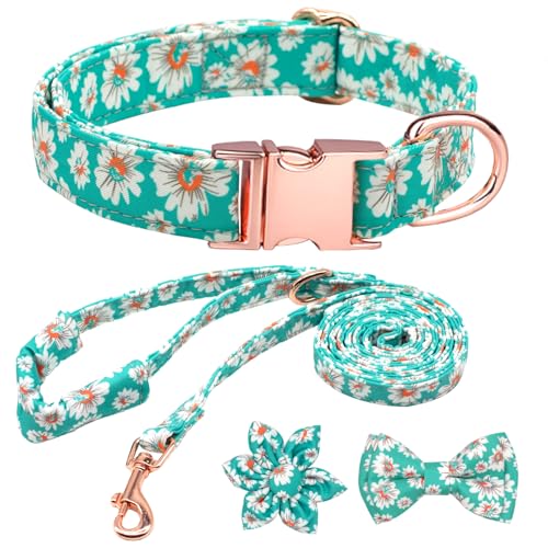 HSIGIO Hundehalsband und Leine, verstellbar, mit floraler Fliege für kleine, mittelgroße und große Hündinnen, Hellgrünes Gänseblümchen, Größe L HSIGIO Hundehalsband und Leine, verstellbar, mit floraler Fliege für kleine, mittelgroße und große Hündinnen, Hellgrünes Gänseblümchen, Größe L von HSIGIO