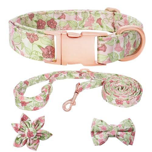 HSIGIO Hundehalsband und Leine, verstellbar, mit floraler Fliege für kleine, mittelgroße und große Hündinnen, Morning Glory, L HSIGIO Hundehalsband und Leine, verstellbar, mit floraler Fliege für kleine, mittelgroße und große Hündinnen, Morning Glory, L von HSIGIO