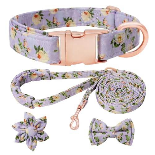 HSIGIO Hundehalsband und Leine, verstellbar, mit floraler Fliege für kleine, mittelgroße und große Hündinnen, hellviolette Blume, Größe L HSIGIO Hundehalsband und Leine, verstellbar, mit floraler Fliege für kleine, mittelgroße und große Hündinnen, hellviolette Blume, Größe L von HSIGIO