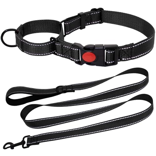 HSIGIO Martingale Halsband für Hunde, reflektierendes Hundehalsband und Leine, Set mit Sicherheits-Schnellverschluss-Schnalle, 1,5 m gepolsterte Hundeleine, verstellbares Nylonhalsband für mittelgroße von HSIGIO