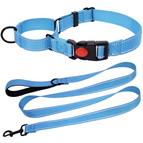 HSIGIO Martingale Halsband für Hunde, reflektierendes Hundehalsband und Leine, Set mit Sicherheits-Schnellverschluss-Schnalle, 1,5 m gepolsterte Hundeleine, verstellbares Nylonhalsband für große von HSIGIO