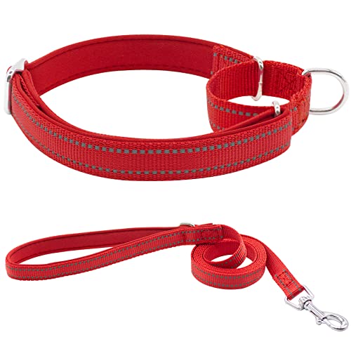 HSIGIO Martingale Hundehalsband und Leine aus Nylon, für kleine, mittelgroße und große Hunde, verstellbar, reflektierend, strapazierfähig, rutschfest, Rot L von HSIGIO