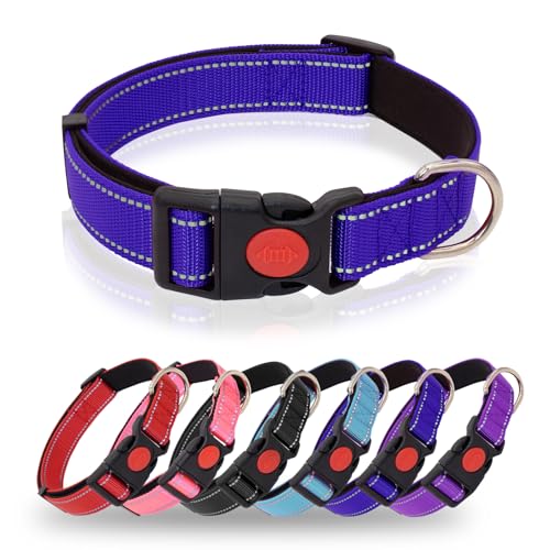 HSIGIO Reflektierendes Hundehalsband, strapazierfähig, verstellbar, mit Sicherheitsverschluss, weiches Neopren, gepolstertes Hundehalsband für Welpen und kleine Hunde, Marineblau, XS von HSIGIO
