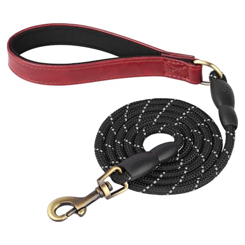 Personalisiertes Hundehalsband-Leinen-Set, Hundehalsbänder mit Hundemarke aus PU-Leder, kostenloses graviertes Namensschild, for kleine, mittelgroße und große Hunde(Red Leash,ML) von HTBCPNF
