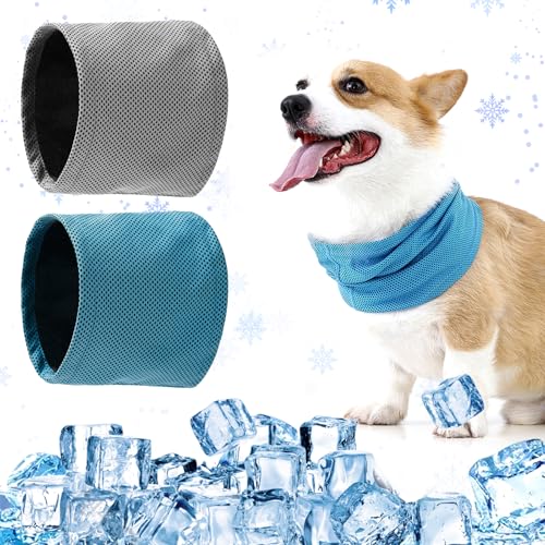HTTDSLF 2 Stück Kühlhalsband für Hunde, Hunde Halstücher Kühlend, Hundehalsband Kühlend, Kühlende Bandana Hund, Kühlendes Hundehalsband, Geeignet für Kühlhunde im Sommer, Größe M, 45 x 13 cm von HTTDSLF