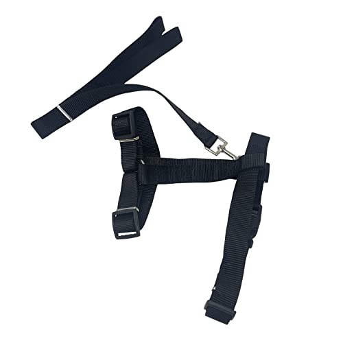 HTUK Hundegeschirr, verstellbar, mit 1,2 m Leine, verstellbar, Nylon, für Welpen, Stoff, Anti-Zieh-Leine, Schwarz HTUK Hundegeschirr, verstellbar, mit 1,2 m Leine, verstellbar, Nylon, für Welpen, Stoff, Anti-Zieh-Leine, Schwarz von HTUK