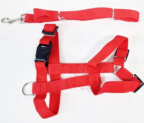 HTUK Hundegeschirr, verstellbar, mit 1,2 m Leine, verstellbar, Nylon, für Welpen, Stoff, Anti-Ziehen-Leine, Rot von HTUK