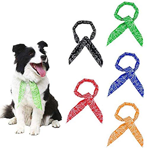 5 Stück Hundekühlung Bandana Sommer-Ice Cool Chill Out Halstuch Wrap Krawatte mit Gel Perlen für Welpen Hunde Haustier-Einheitsgröße für die meisten Designs von HTYG