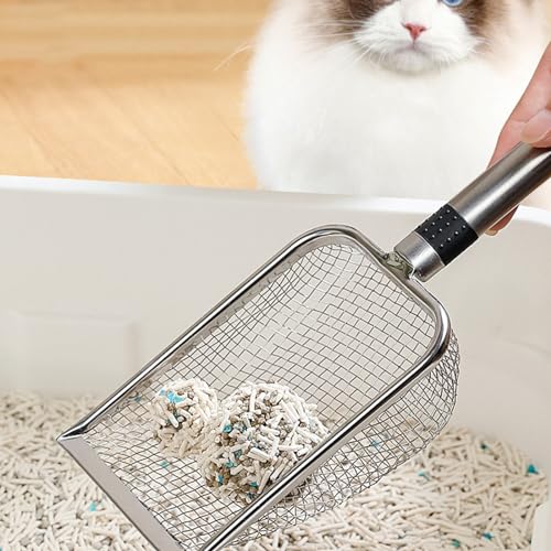 HUAANYA Edelstahl Katzenstreuschaufel,Anti-Rutsch Katzenstreu Schaufel,Antihaft-Katzenstreu Schaufel,Einfaches Sieben Ohne Verschütten Den Seiten,Katzenreinigung HUAANYA Edelstahl Katzenstreuschaufel,Anti-Rutsch Katzenstreu Schaufel,Antihaft-Katzenstreu Schaufel,Einfaches Sieben Ohne Verschütten Den Seiten,Katzenreinigung von HUAANYA