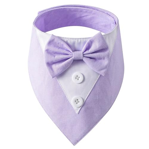 HUAJINGKEJI Elegantes Halsband für Hunde und Katzen, mit Fliege, Halstuch, Anzugkragen, Halskette, Halsband für große Mädchen HUAJINGKEJI Elegantes Halsband für Hunde und Katzen, mit Fliege, Halstuch, Anzugkragen, Halskette, Halsband für große Mädchen von HUAJINGKEJI