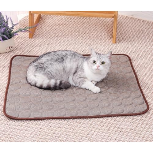 HUAMIAN Kühlmatte für Hunde, 100 x 75 cm, sofortiges Kühlkissen für Hunde und Katzen, Eisseidenstoff, doppelseitig, Haustier-Kühlmatte, Sommerzubehör für Haustiere, Wärmeentlastung (Braun) von HUAMIAN