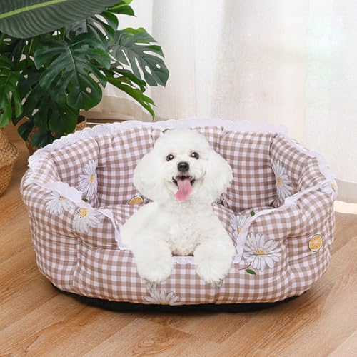 HUAMIAN Kühlmatte für Hunde, kühlendes Katzenbett mit atmungsaktivem Bambus-Pad und Spitzenbesatz, verschleißfeste, rutschfeste Unterseite, kühles Kissen für Hunde und Katzen für heiße Sommer, drinnen HUAMIAN Kühlmatte für Hunde, kühlendes Katzenbett mit atmungsaktivem Bambus-Pad und Spitzenbesatz, verschleißfeste, rutschfeste Unterseite, kühles Kissen für Hunde und Katzen für heiße Sommer, drinnen von HUAMIAN