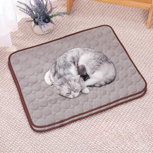 HUAMIAN Kühlmatte für Hunde, sofortiges Kühlkissen für Hunde und Katzen, Eisseidenstoff, doppelseitig, für den Sommer, unverzichtbar für Haustiere, Wärmeentlastung, Braun, 62 x 50 cm, 2 Stück HUAMIAN Kühlmatte für Hunde, sofortiges Kühlkissen für Hunde und Katzen, Eisseidenstoff, doppelseitig, für den Sommer, unverzichtbar für Haustiere, Wärmeentlastung, Braun, 62 x 50 cm, 2 Stück von HUAMIAN