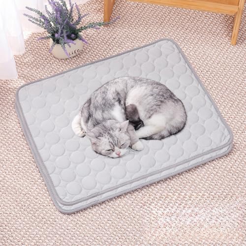 HUAMIAN Kühlmatte für Hunde, sofortiges Kühlkissen für Hunde und Katzen, Eisseidenstoff, doppelseitig, für den Sommer, unverzichtbar für Haustiere, Wärmeentlastung, Grau, 62 x 50 cm, 2 Stück HUAMIAN Kühlmatte für Hunde, sofortiges Kühlkissen für Hunde und Katzen, Eisseidenstoff, doppelseitig, für den Sommer, unverzichtbar für Haustiere, Wärmeentlastung, Grau, 62 x 50 cm, 2 Stück von HUAMIAN