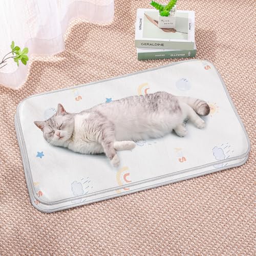 HUAMIAN Kühlmatte für Hunde, sofortiges Kühlkissen für Hunde und Katzen, Eisseidenstoff, doppelseitig, für den Sommer, unverzichtbar für Haustiere, Wärmeentlastung (Stil 2,60 x 100 cm) von HUAMIAN