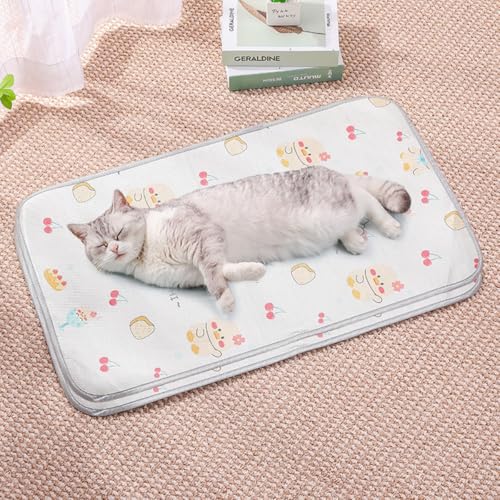 HUAMIAN Kühlmatte für Hunde, sofortiges Kühlkissen für Hunde und Katzen, Eisseidenstoff, doppelseitig, für den Sommer, unverzichtbar für Haustiere, Wärmeentlastung (Stil 5,60 x 100 cm) von HUAMIAN