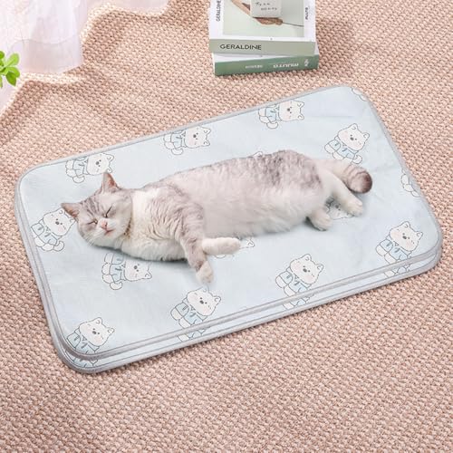 HUAMIAN Kühlmatte für Hunde, sofortiges Kühlkissen für Hunde und Katzen, Eisseidenstoff, doppelseitig, für den Sommer, unverzichtbar für Haustiere, Wärmeentlastung (Stil 6,60 x 100 cm) von HUAMIAN