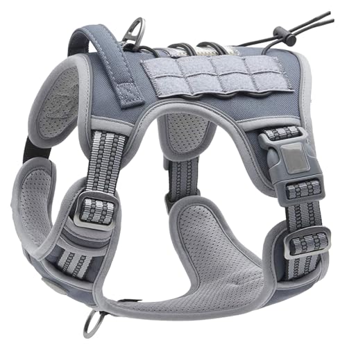 HUANGANG Hundegeschirr Reflektierende Weste, verstellbare Trainingsweste für Haustiere, starkes Training, Spazierengehen, Schwimmen, Wandern, reflektierend HUANGANG Hundegeschirr Reflektierende Weste, verstellbare Trainingsweste für Haustiere, starkes Training, Spazierengehen, Schwimmen, Wandern, reflektierend von HUANGANG