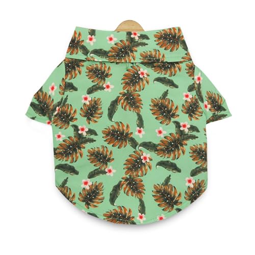 HUANGENG Katzen- und Hunde-Shirt mit Blätter-Druck, Revers, Hals, Kleidung, Outdoor, Spaziergänge, Hunde, Katzen, schnell trocknend, Overall, bequem HUANGENG Katzen- und Hunde-Shirt mit Blätter-Druck, Revers, Hals, Kleidung, Outdoor, Spaziergänge, Hunde, Katzen, schnell trocknend, Overall, bequem von HUANGENG