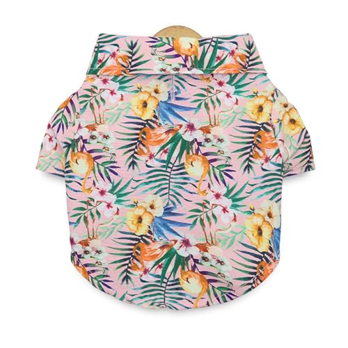HUANGENG Katzen- und Hunde-Shirt mit Blätter-Druck, Revers, Hals, Kleidung, Outdoor, Spaziergänge, Hunde, Katzen, schnell trocknend, Overall, bequem HUANGENG Katzen- und Hunde-Shirt mit Blätter-Druck, Revers, Hals, Kleidung, Outdoor, Spaziergänge, Hunde, Katzen, schnell trocknend, Overall, bequem von HUANGENG