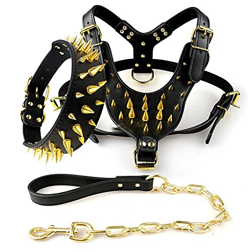 Cooles Nietenhalsband und Leine aus Leder mit Nieten und Nieten für mittelgroße Hunde, Gold, XL von HUANSUN