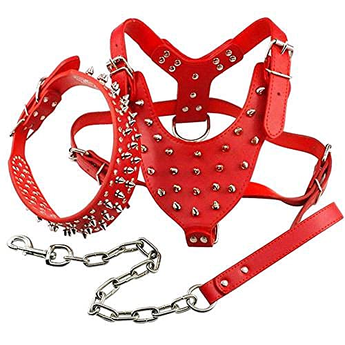 Cooles Nietenhalsband und Leine aus Leder mit Nieten und Nieten für mittelgroße Hunde,rot,M von HUANSUN