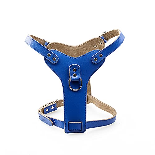 Haustier-Leder-Hundegeschirr für kleine mittelgroße Haustiere Hundehalsband Handbrustgurte M,Blau,M von HUANSUN