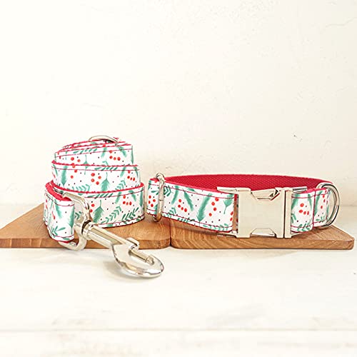 Hundehalsband Poly Satin und Nylon 5 Größen Hundehalsband, Hundehalsband Leine Set, xs von NC
