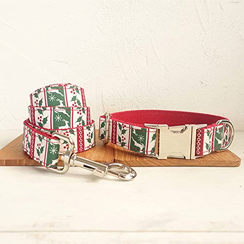 Hundehalsband Poly Satin und Nylon 5 Größen Hundehalsband,Hundehalsband Leine Set,xs von NC