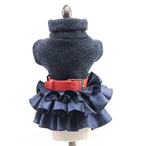 Hundekleider Mantel Herbst Warmer Rollkragen Strickpullover Top Katze Tutu Rock Kleidung für kleine Hunde XS SML XL,Blau,L von HUANSUN