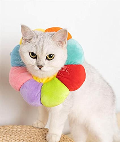Katzenhalsband Haustier Hund Hals Blumenform Halsband für niedlich für Katze und Hund, Mehrfarbig, S von HUANSUN