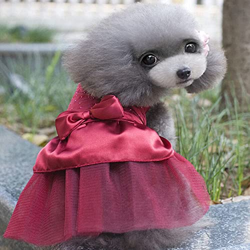 Klassische Prinzessin Hundekleider Sommer Kleine Hundekleidung Chihuahua Tüllrock Nettes Welpenkleid Haustierkleidung,rot,xs von NC