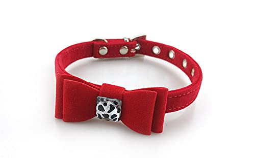 Luminous Pet Katzenhalsband Leine Set für Pet Puppy Cat Strass Halsband Rot Verstellbares Hundehalsband,rot,M 1,5x25,40cm von HUANSUN
