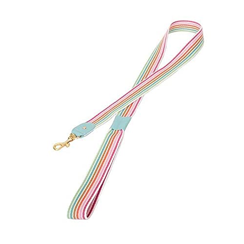 Luxus Mode Hundehalsband Leine Halskette Weiches Leder Hundehalsbänder Führt Zubehör,Leine 7,S 27,37 cm von NC
