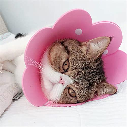 Pet Circle Collar Cat Sun Flower Handtuch Filz Tuch Katzenhalsband Recovery Sleeve,Rosa,L von HUANSUN