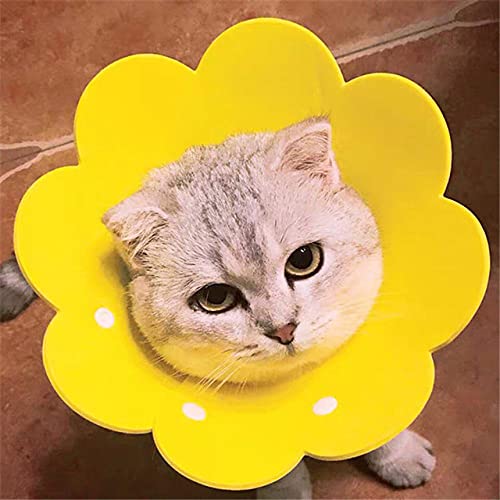 Pet Circle Collar Katze Sonnenblume Handtuch Filz Tuch Katzenhalsband Recovery Sleeve,gelb,L von HUANSUN