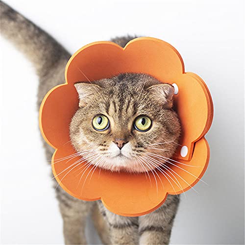 Pet Circle Collar Katze Sonnenblume Handtuch Filz Tuch Katzenhalsband Recovery Sleeve,orange,L von HUANSUN