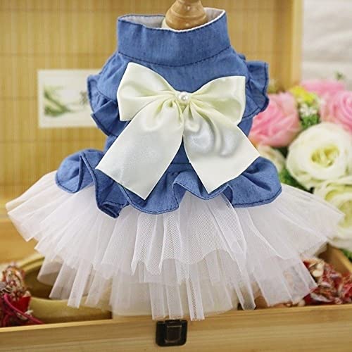 Pet Kleider Denim Spitze Hochzeit Bowknot Sweety Rock Kleider für kleine mittlere Hund Katze Welpen Kleidung,Modell 1,M von HUANSUN