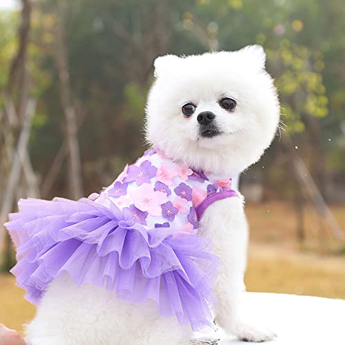 Süße gestreifte Schleife Hundekleid Röcke Mesh Spitze Schleife Knoten Prinzessin Kleid Kleidung für kleine mittlere Hunde Welpen Kostüme Chihuahua,3,XXL von HUANSUN