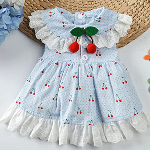 Süßes Spitzenkragenkleid für Hunde Cherry Decor Blue Tutu Rock für kleine Hundemädchen Prinzessinnen Shirts Haustierbekleidung Sommerkleid XXL,Style2,S von HUANSUN