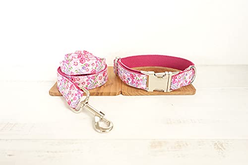 buntes Halsband modisch glänzende Hundehalsbänder und Leinen 5 Größen,Hundehalsband-Leine-Set,L von NC